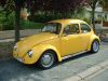 cox jaune noyal 2.JPG